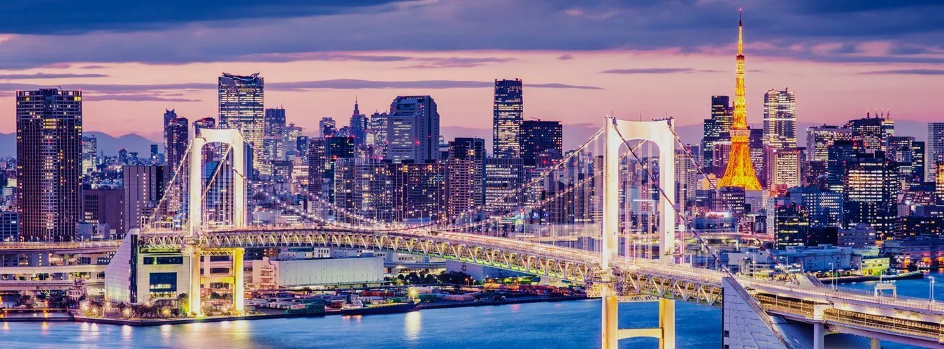 Tokyo skyline at night